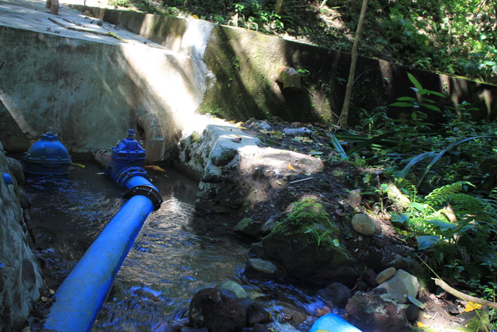 Upper Malamig Spring