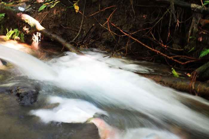 Upper Malamig Spring