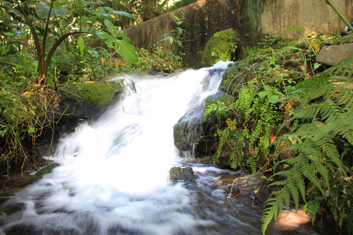 Upper Malamig Spring