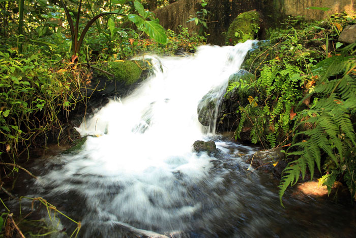 Upper Malamig Spring