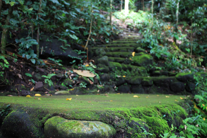 Cabunsod Spring - Steps to Malabanban